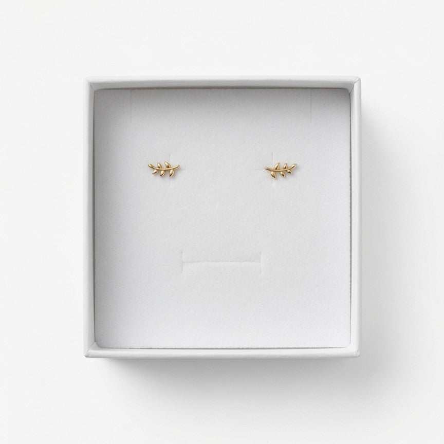 14ct gold plated olive leaf branch stud earrings displayed in white gift box