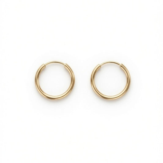 14ct Gold Small Endless Hoop Earrings