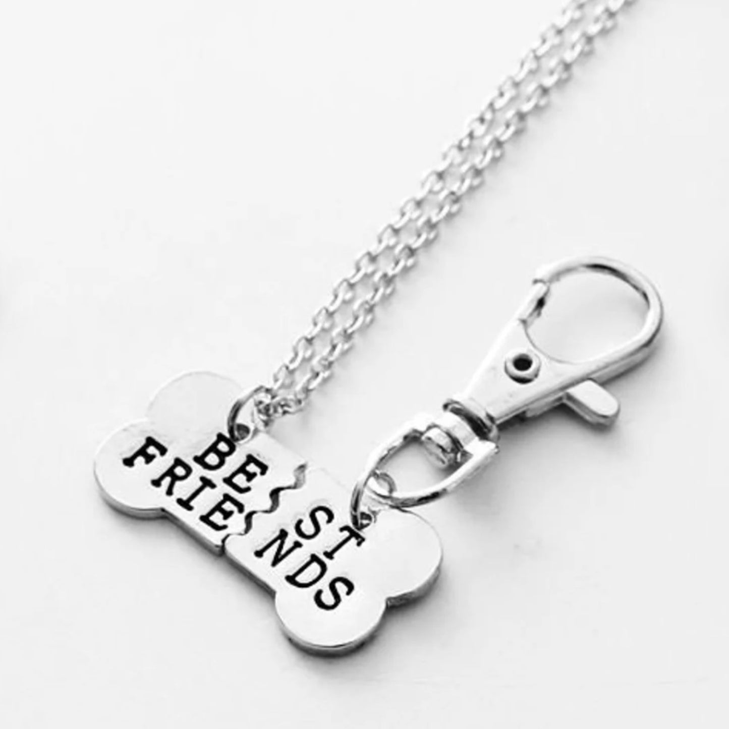 Silver Best Friends Bone Pendant Matching Dog Tag And Owner Necklace Set