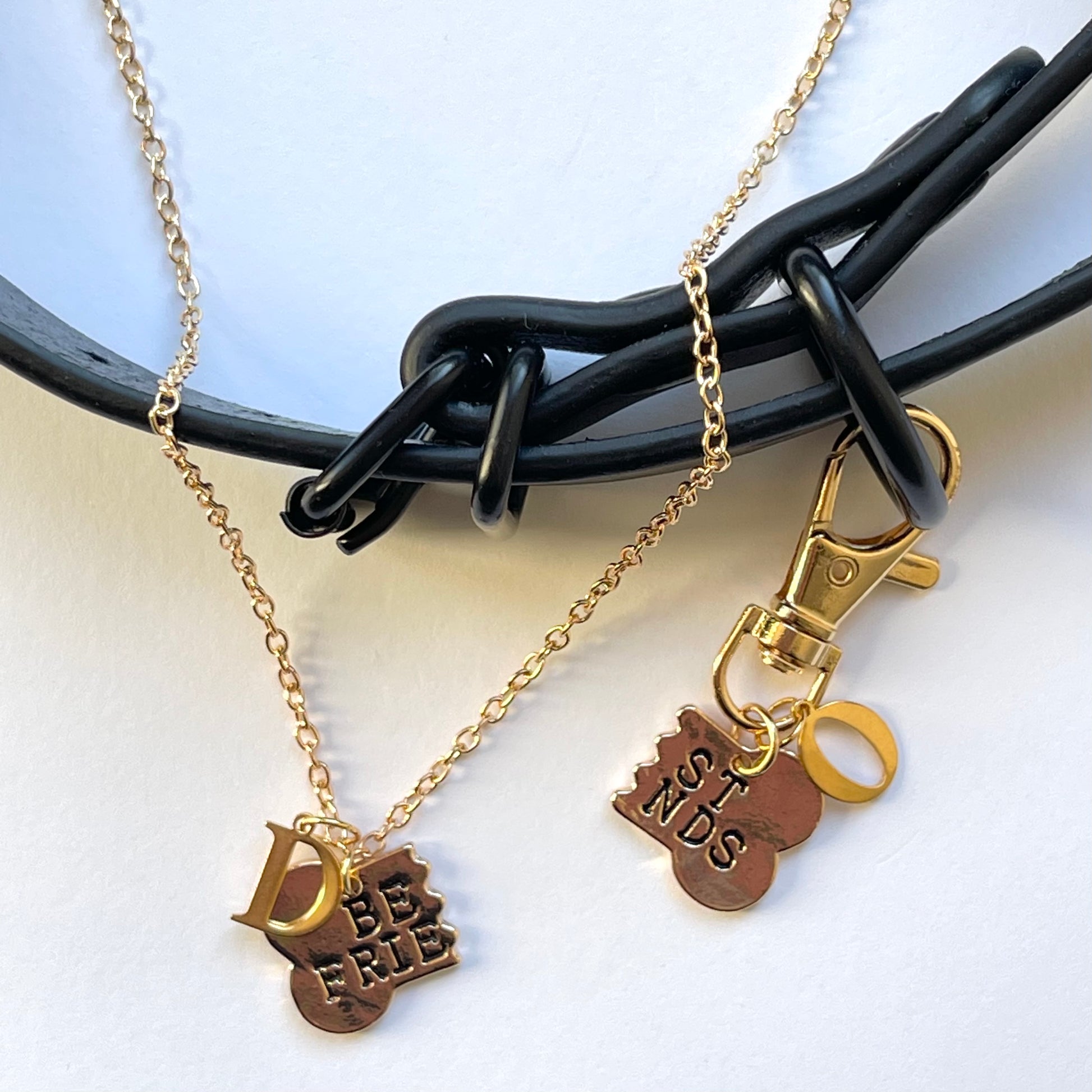 Gold best friends bone pendant matching dog tag and owner necklace set