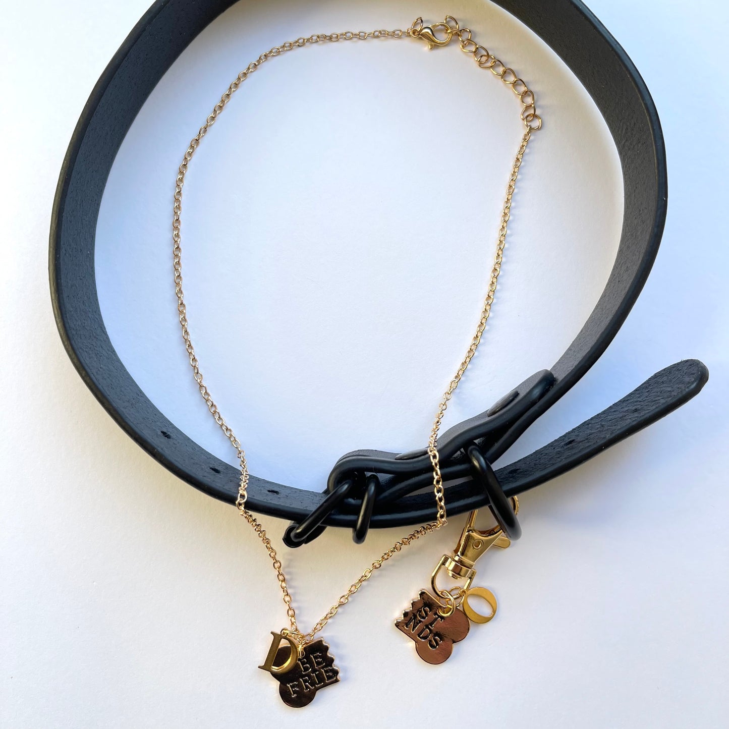 Gold best friends bone pendant matching dog tag and owner necklace set
