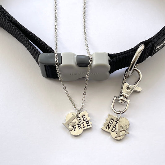 Personalised Silver Best Friends Bone Pendant Matching Dog Tag And Owner Necklace Set